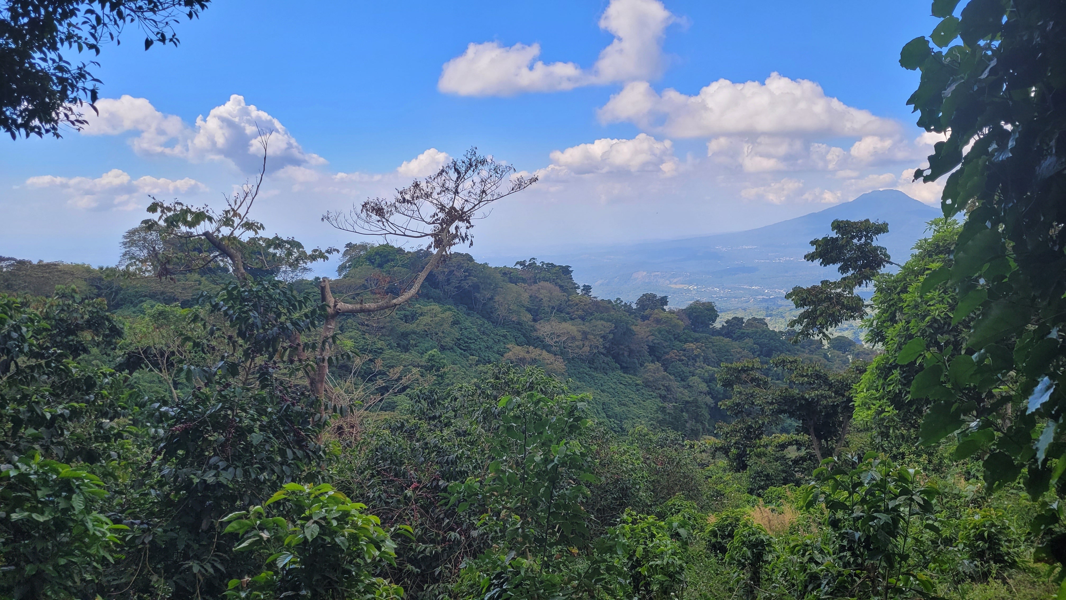 Bell Lane & Evalynn - Origin Trip to El Salvador 2023