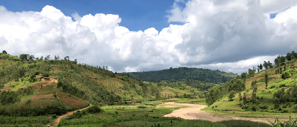 5 tips for a smoother b corp journey (from someone who’s been there)