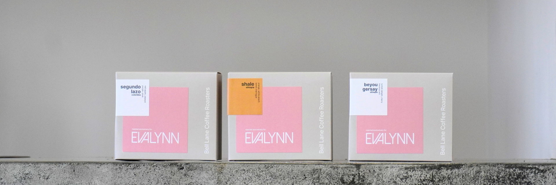 Evalynn: Chapter Three of Our Journey