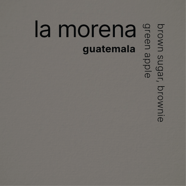 la morena