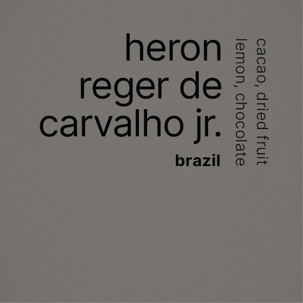 heron reger de carvalho jr.