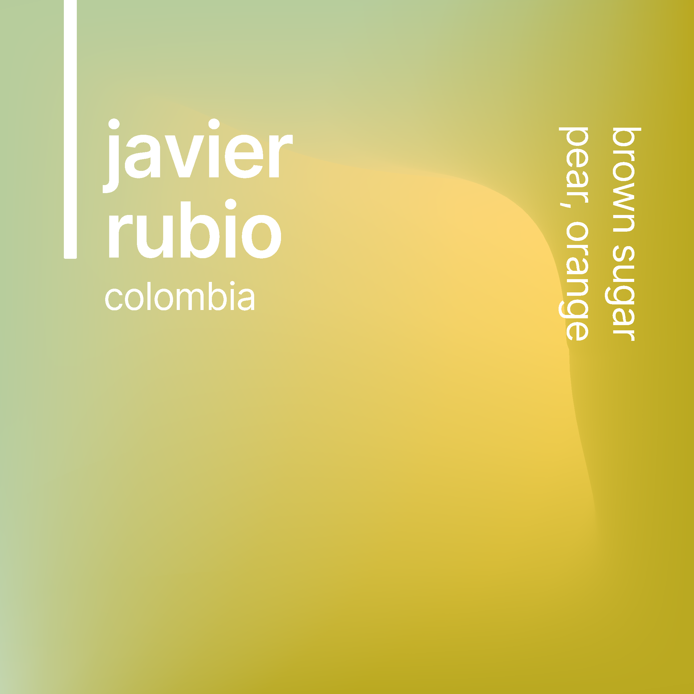 javier rubio