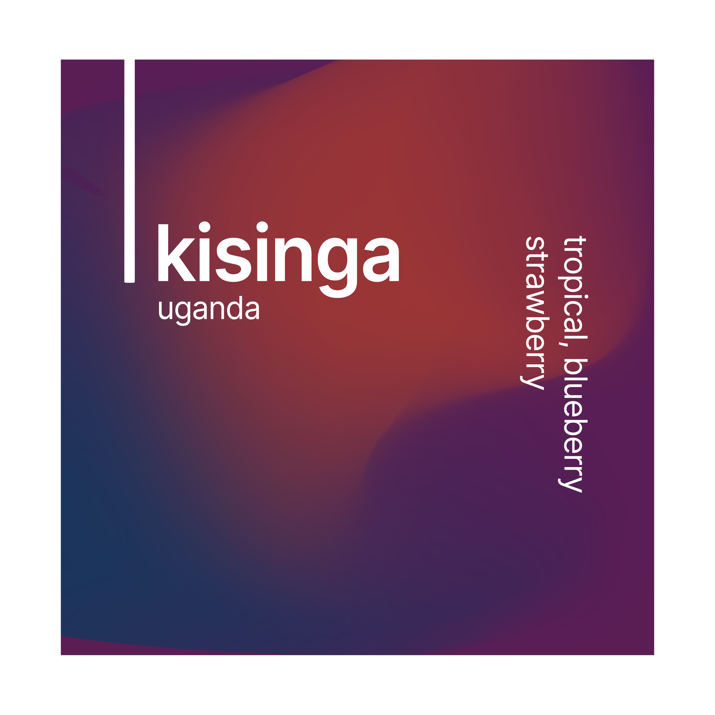 Kisinga