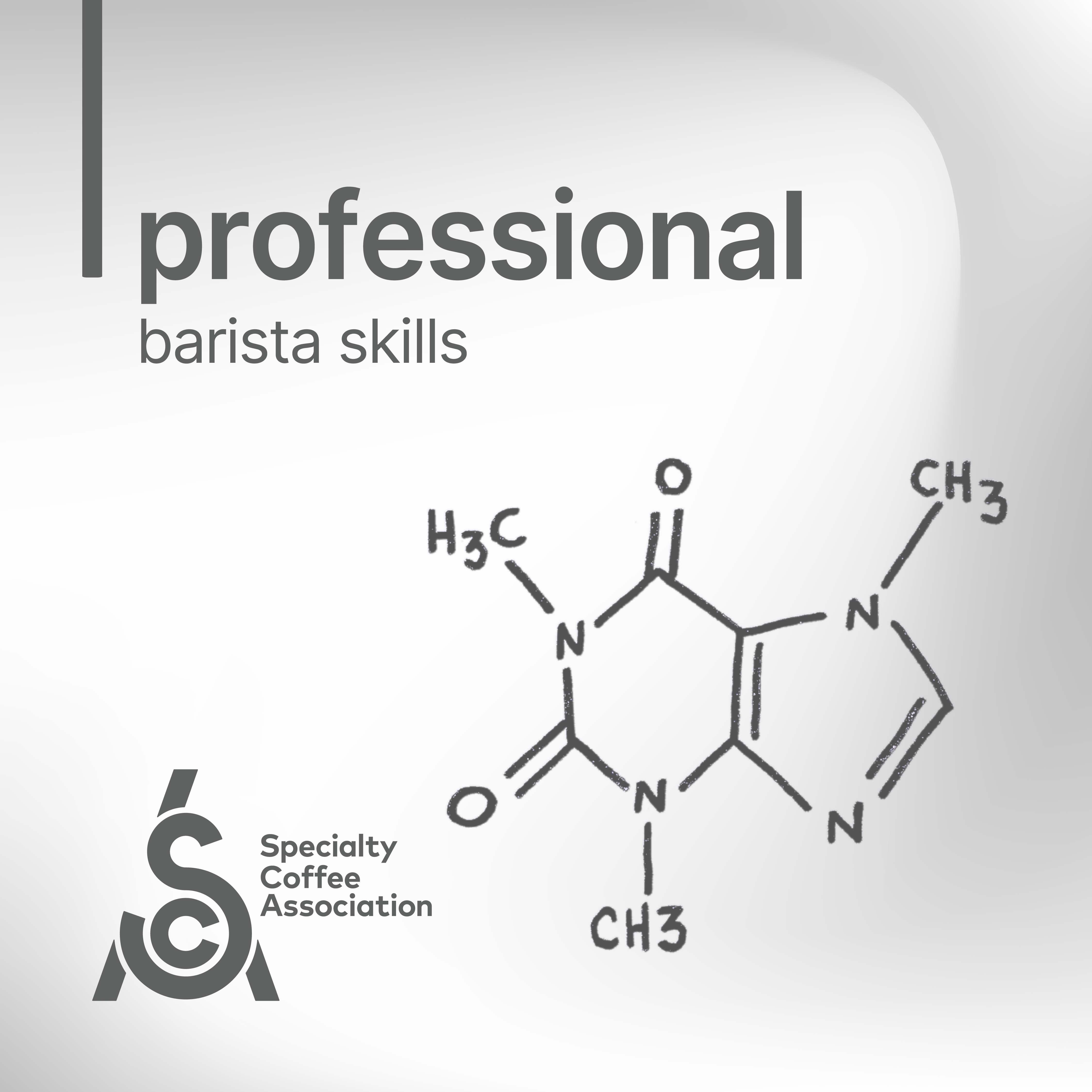 SCA Barista Skills Professional