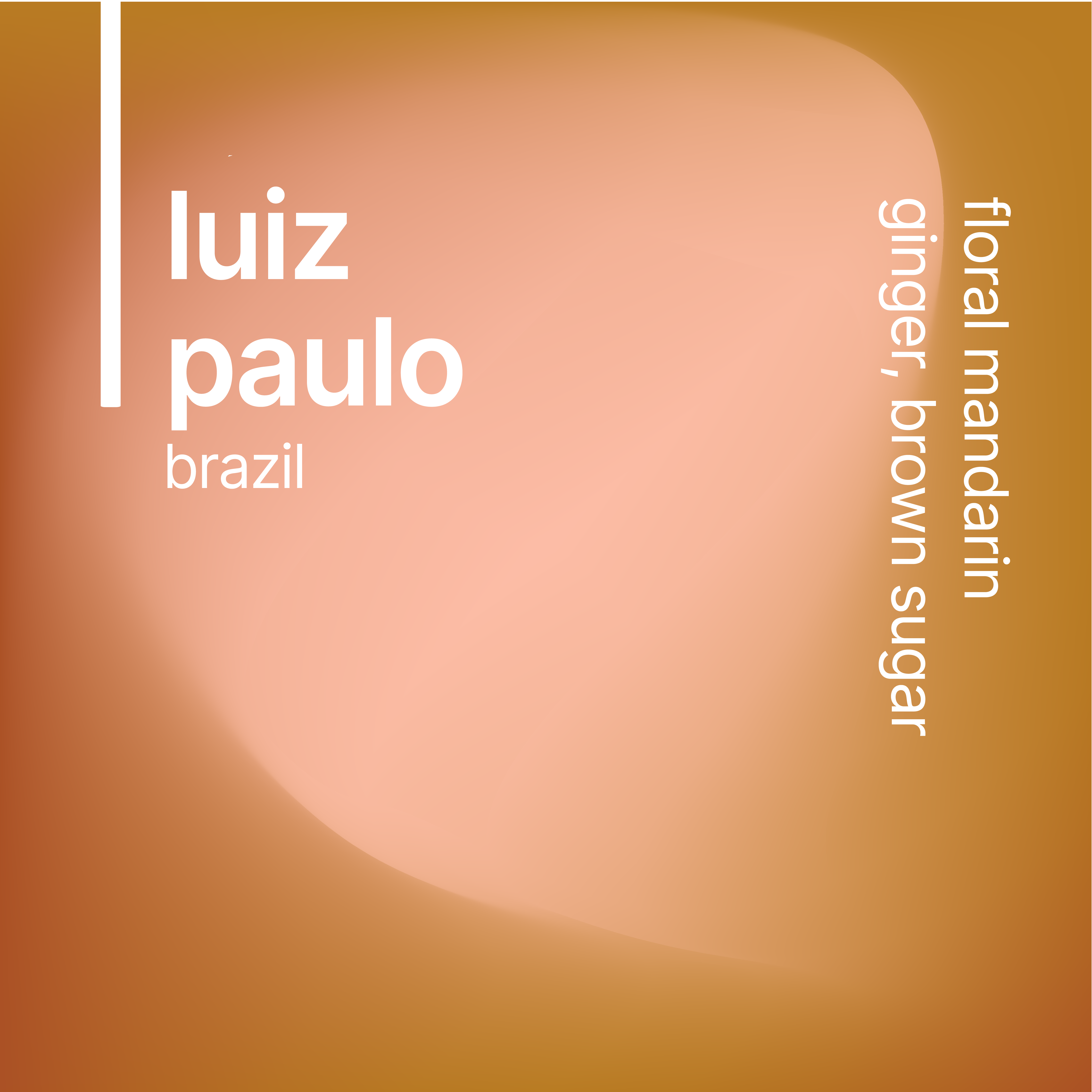 luiz paulo sudan rume