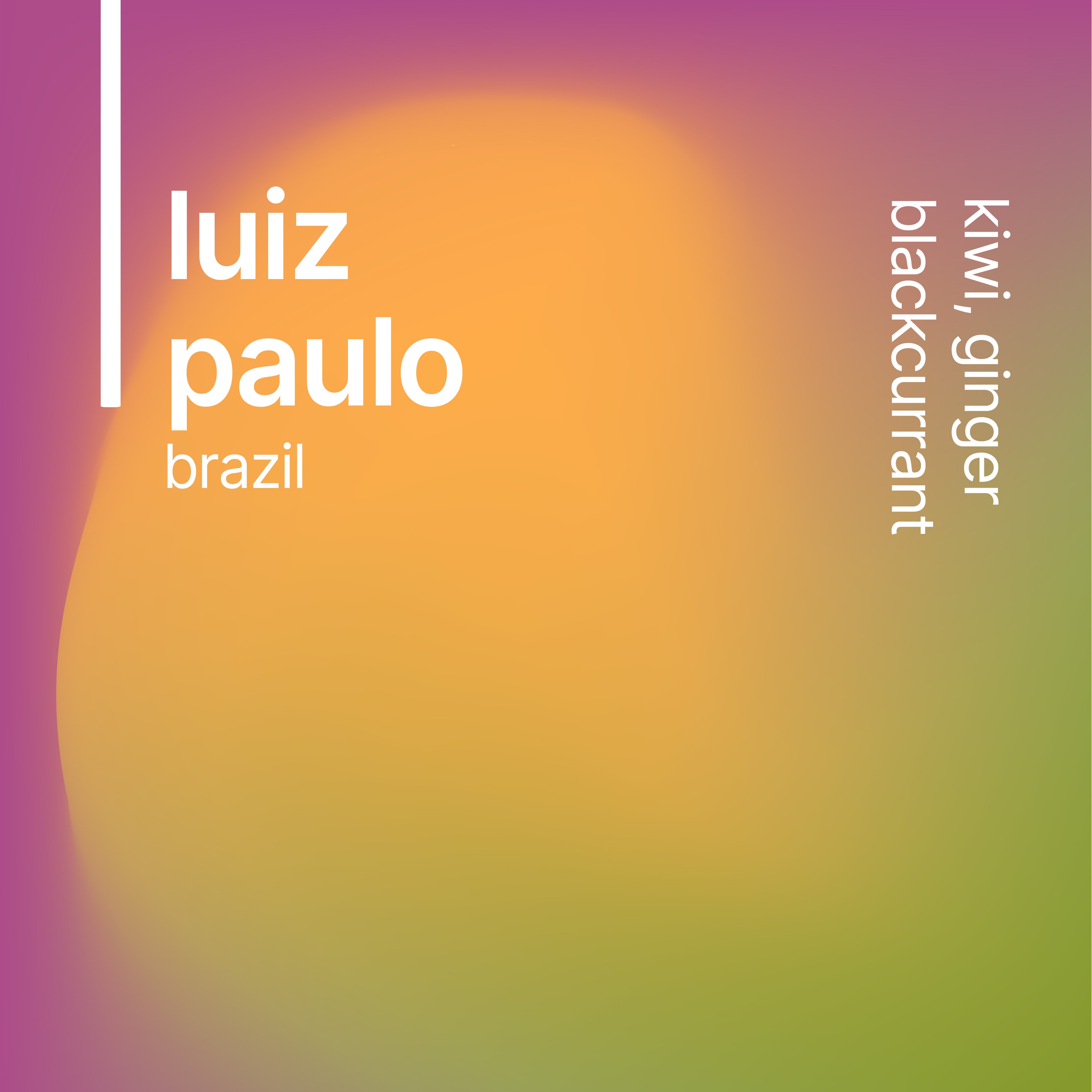 luiz paulo