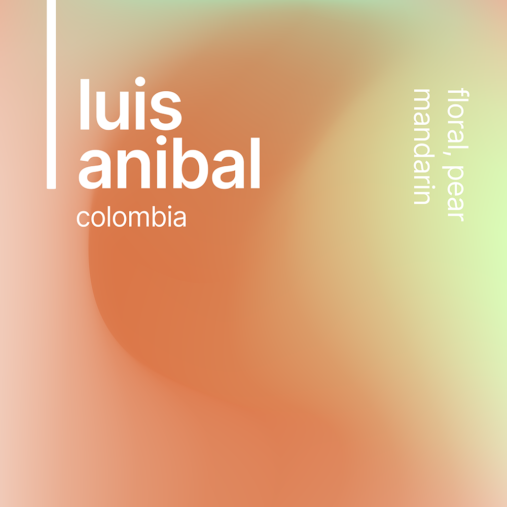 luis anibal ombligon