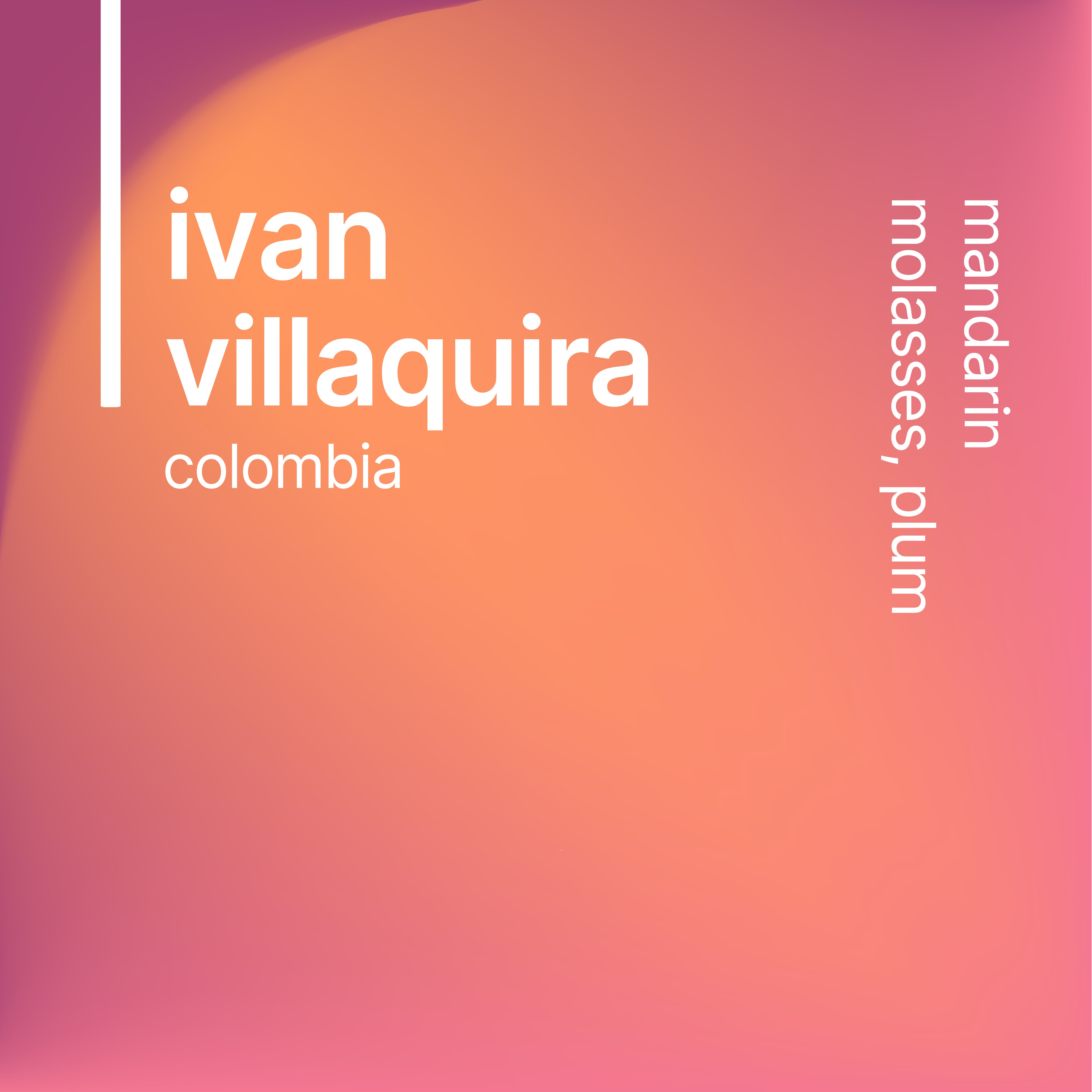 Bell Lane Coffee Ivan Villaquira Colombia gradient label design in pink and orange tones with tasting notes mandarin, molasses, and plum.