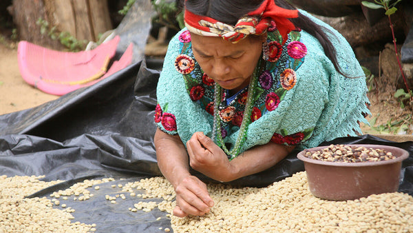 La Morena - Empowering Women Farmers