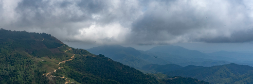 A panoramic view of lush, green mountains in Oaxaca, Mexico, under a cloudy sky, with winding roads weaving through the landscape. A lone bird soars in the distance, adding to the sense of scale and tranquillity.