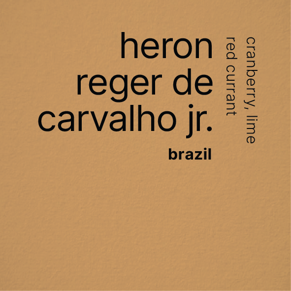 Heron Reger De Carvalho Junior - 90h Fermentation Brazil 250g