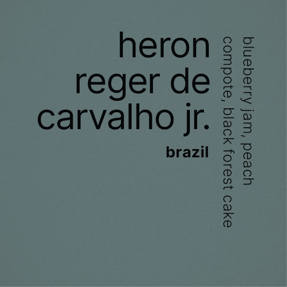 Heron Reger De Carvalho Junior - 240H Anaerobic Natural - Red Catucai - 250g