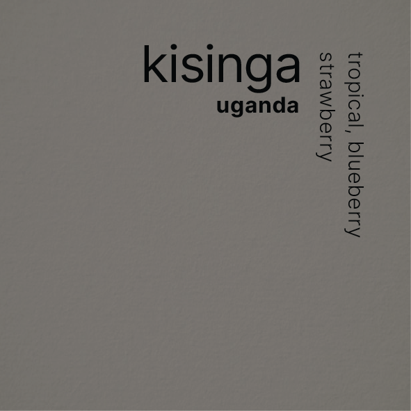 Uganda Kisinga 250g