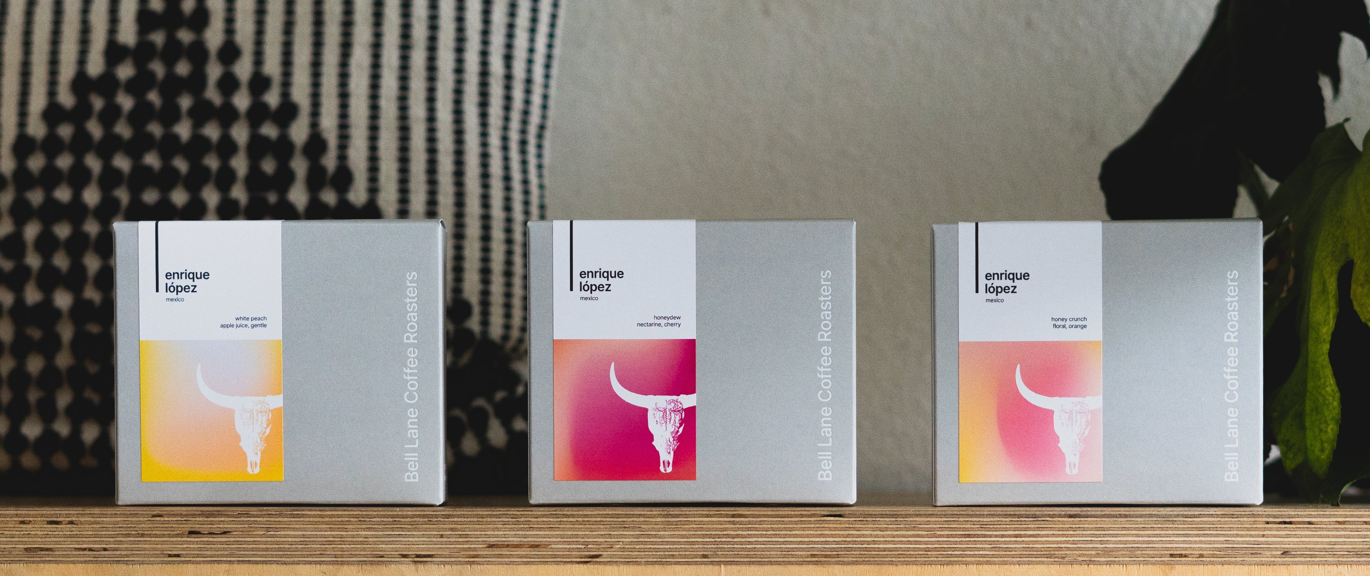 Three boxes of coffee with a bull illustration on their covers are lined up on a wooden surface.