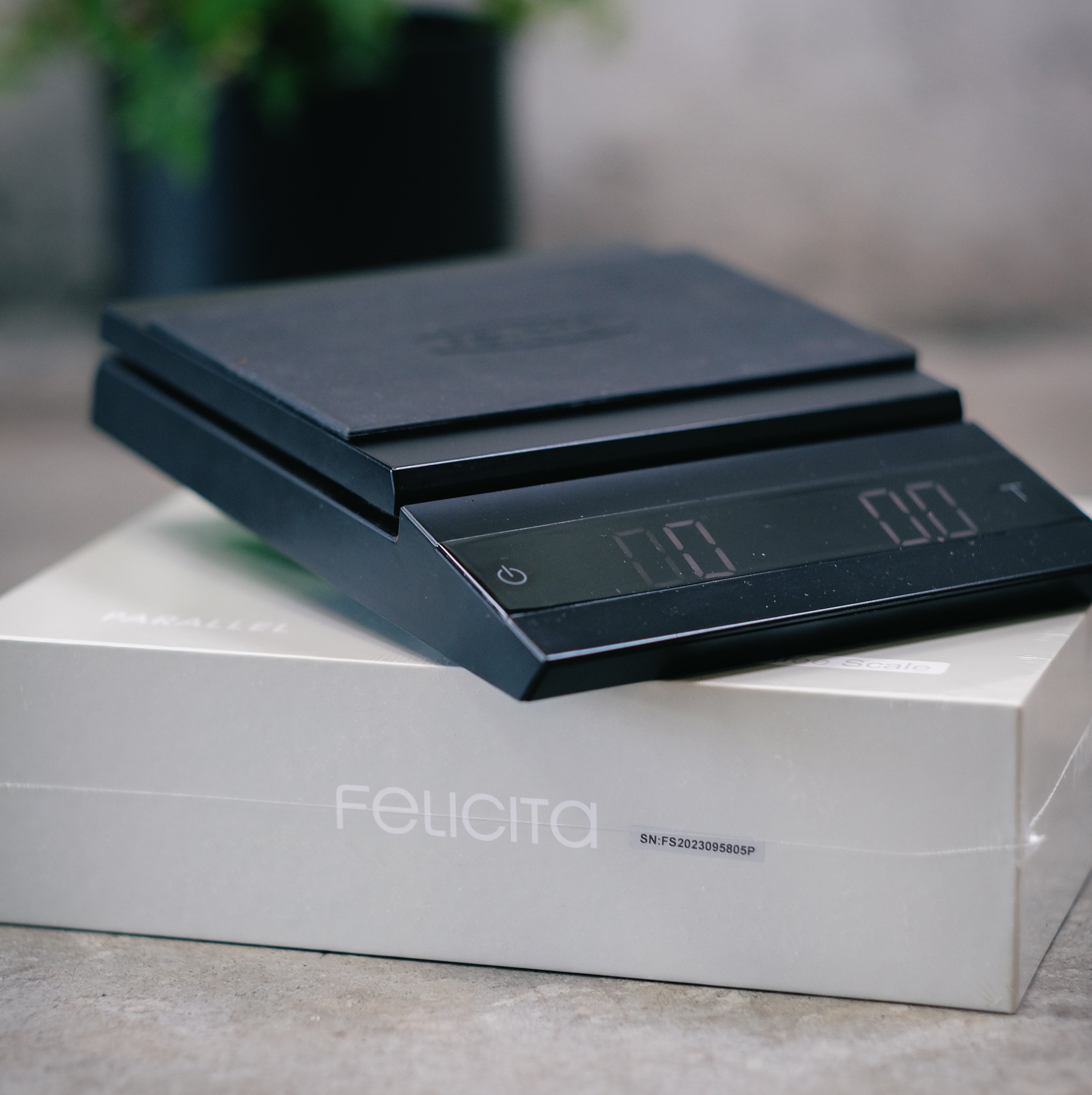 felicita arc scales