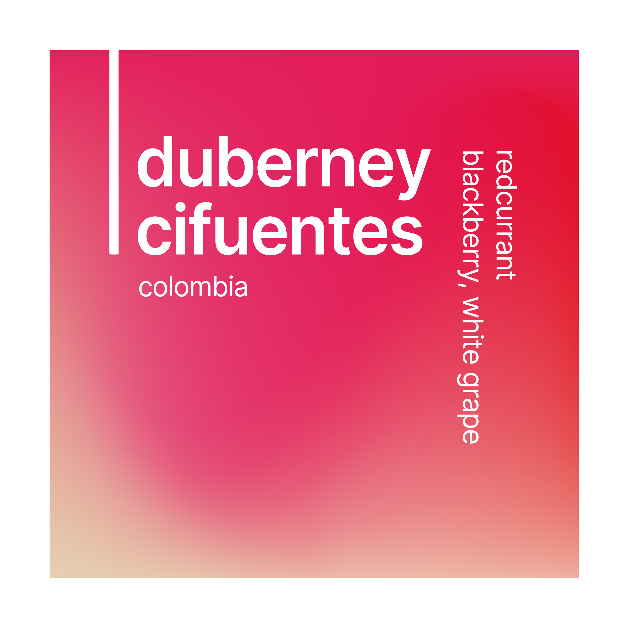 Gradient pink and red label with 'duberney cifuentes' text on a white background