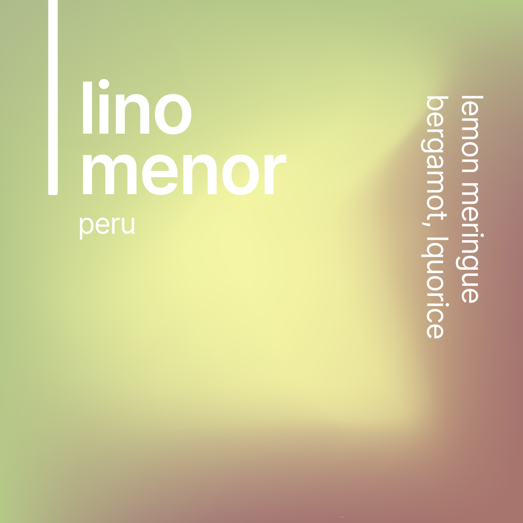 lino menor