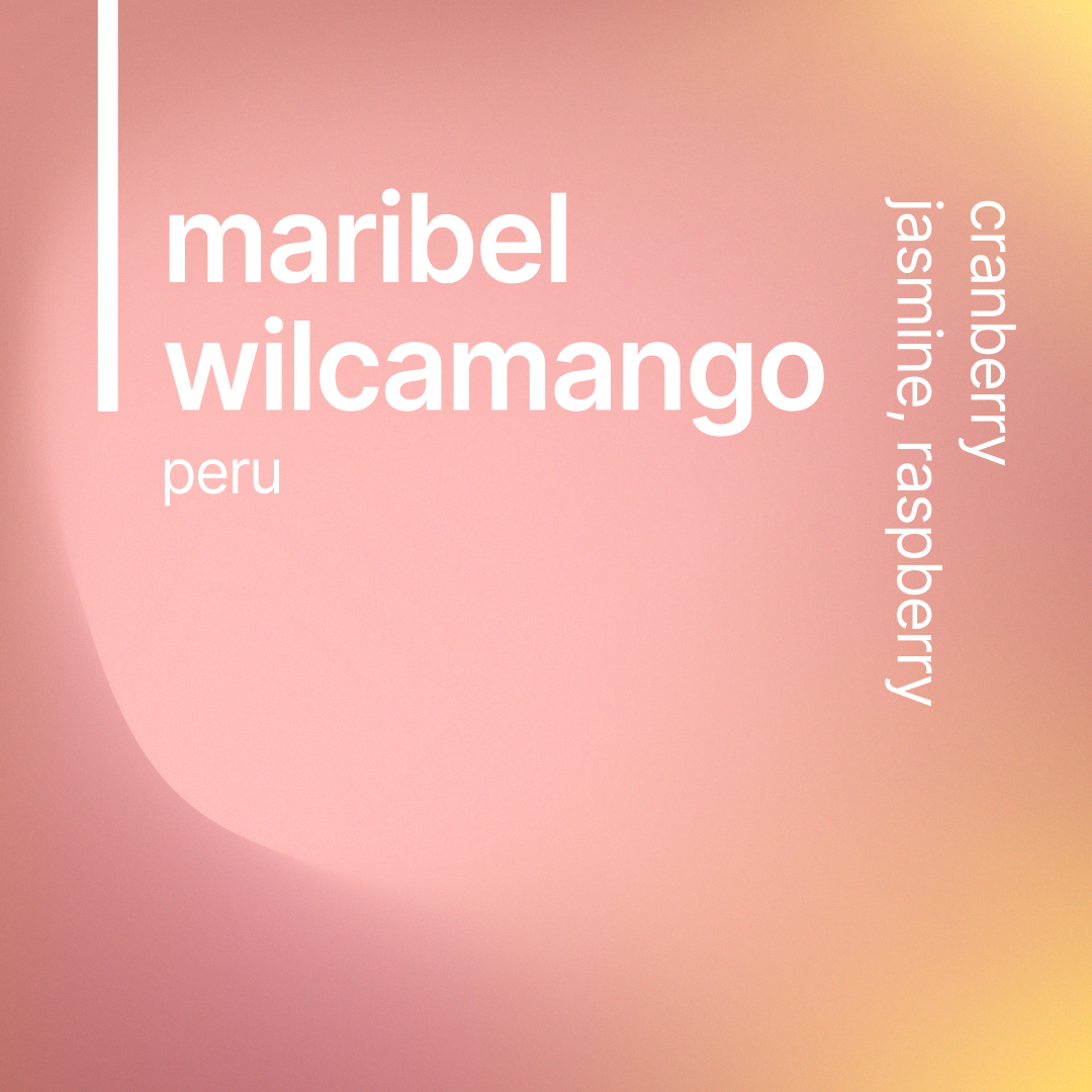 maribel wilcamango