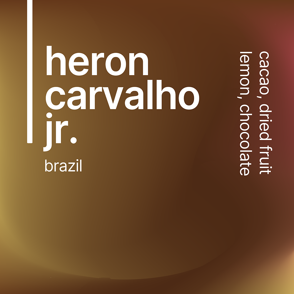 heron carvalho jr.