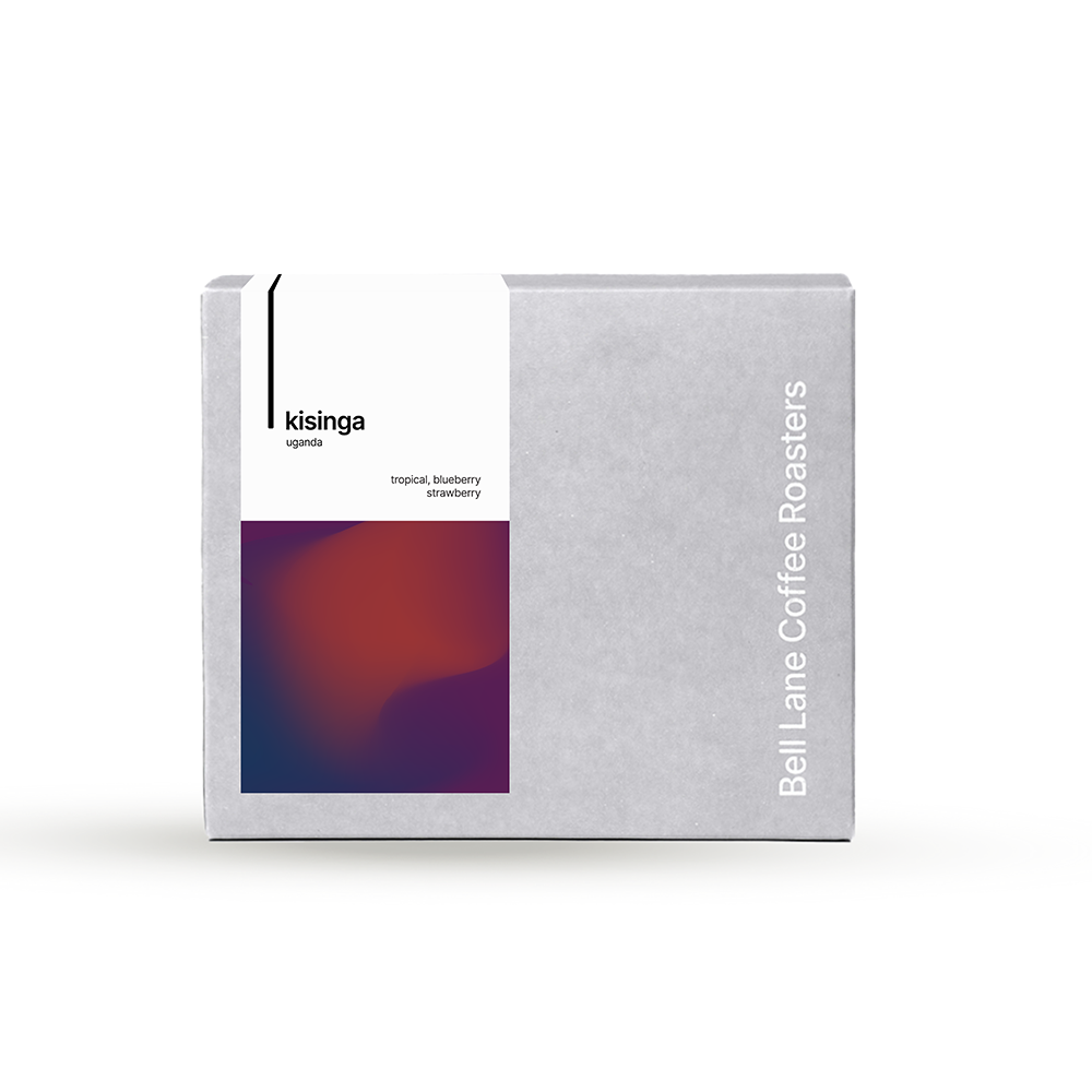 Kisinga packshot